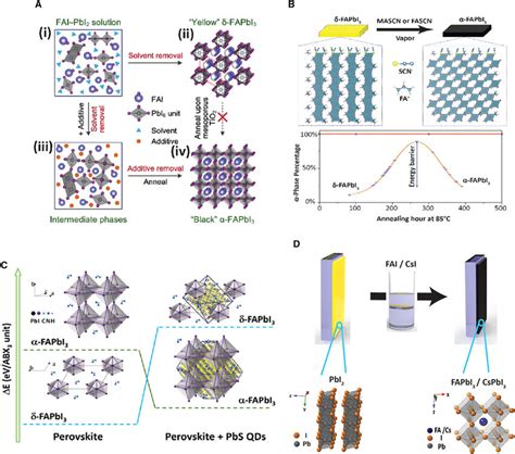 Formation Of The Metastable Perovskite Phases Of FAPbI 3 And CsPbI 3