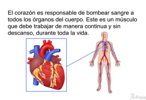 Patedu Vivir Con Insuficiencia Card Aca Congestiva