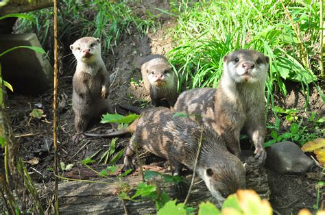 Highlights Tierpark Kloster Riesa