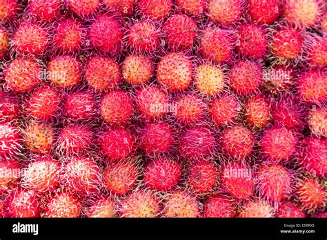 Rambutan Fruits Nephelium Lappaceum Stock Photo Alamy