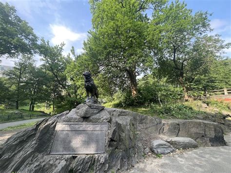 Balto Statue in Central Park NYC | NYC Guides, Recommendations, Reviews | Better Together Here