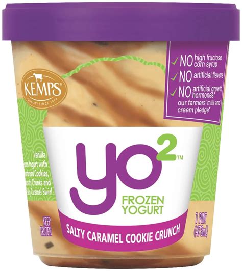 Kemps Yo 2 Salty Caramel Cookie Crunch Frozen Yogurt Shop Frozen