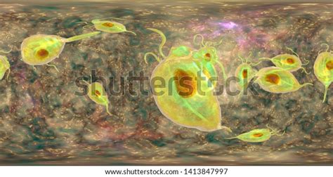 Trichomonas Vaginalis Protozoan 360degree Spherical Panorama Stock Illustration 1413847997