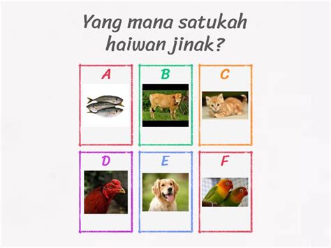 Haiwan Jinak Quiz