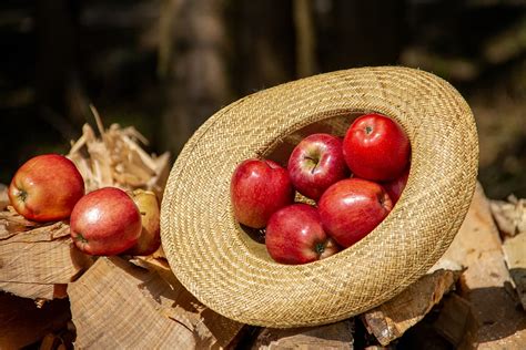 Apfel Frucht Lebensmittel Kostenloses Foto Auf Pixabay