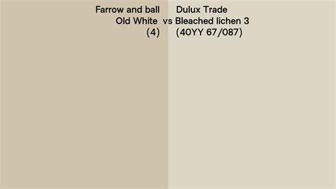 Farrow And Ball Old White 4 Vs Dulux Trade Bleached Lichen 3 40yy 67087 Side By Side Comparison