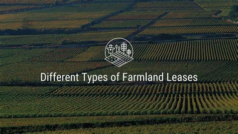 Different Types Of Farmland Leases Understanding Lease Options