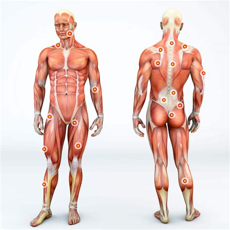 Most Common Trigger Points For Sciatica Sufferers in Lakewood, CO ...