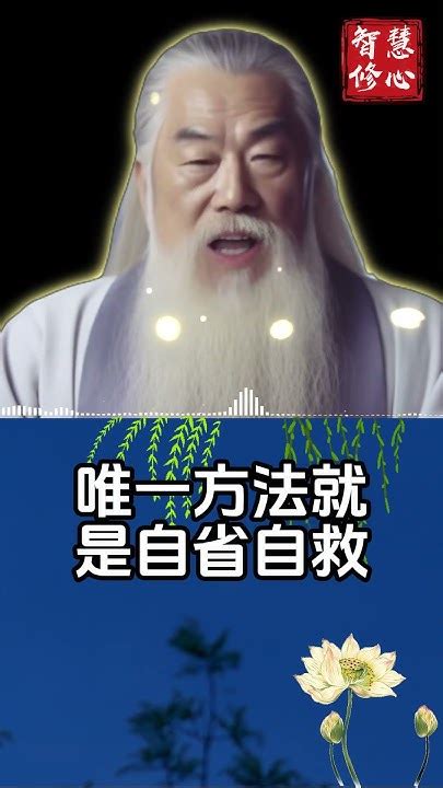 阿彌陀佛一旦察覺到自己的狀態不對一定要把自己救上來智慧修心 修行 福報 禪修 養生 健康 Zen Youtube