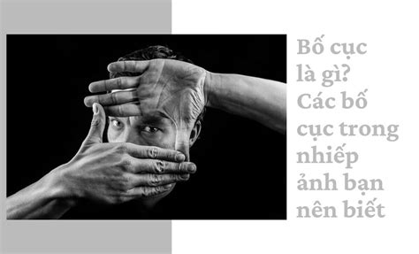 bo cuc anh la gi  anh xach tay nhat