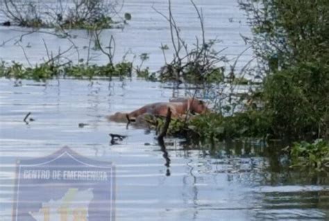 Identifican A Hombre Que Fue Hallado Flotando Muerto En Las Aguas Del