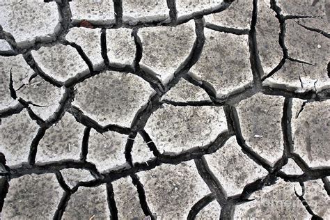 Cracked Mud Photograph By Bryan Noll