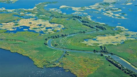 Delta Dunarii Parc National Proiect Geografie Youtube