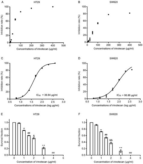 Drug Cytotoxicity Tests Of Irinotecan As A Single Agent Drug