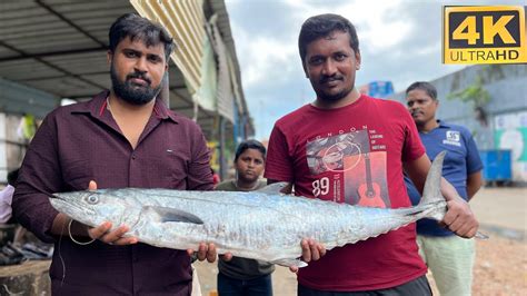 Vanjaram Fish Cutting Video Fishcuttingrs Kasimedu Fishcuttingrs