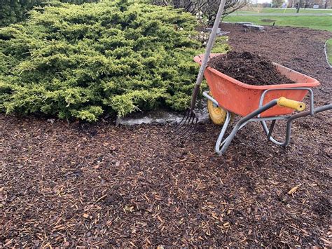 Garden Clippings Layer Of Mulch Helps Weed Control Soil Texture The