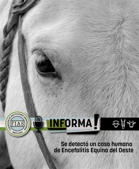 Se Detect Un Caso Humano De Encefalitis Equina Del Oeste Fias Santa Cruz