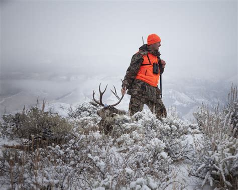 Best Lever Action Hunting Rifles For Deer And Big Game