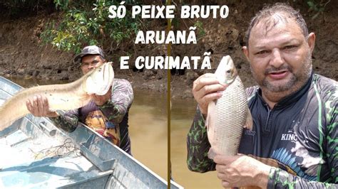 Aruan Curimat E Car Pescada Foi O Que Saiu Na Pescaria De