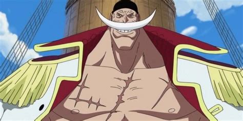 One Piece 10 Things You Didnt Know About Whitebeard Edward Newgate