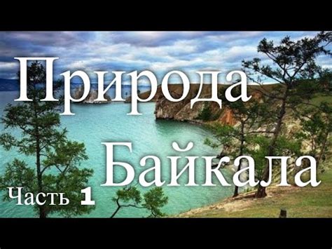 Природа Байкала. Россия. Часть 1 - YouTube