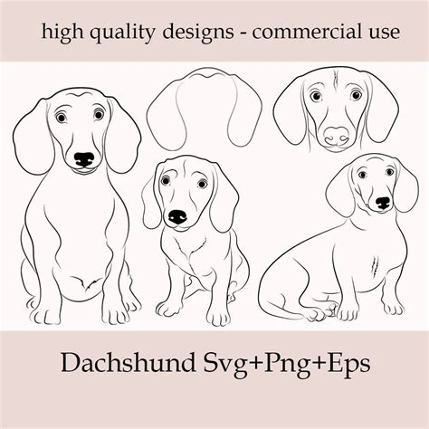 Dachshund Svg Cut File For Cricut Dachshund Svg Bundle Etsy Australia