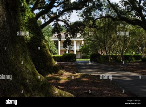 Oak Alley Plantation Stock Photo - Alamy