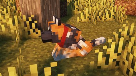 All Minecraft Wolf Variants And Where To Find Them