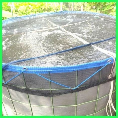 Jaring Penutup Kolam Ikan Bulat Diameter Diameter 1 Toko Jaring