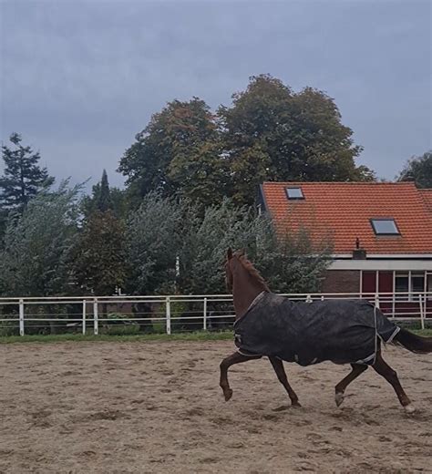 Benen Strekken Doe Je Nooit Alleen Dit Doe Je Samen Bokt Nl