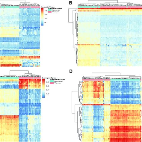 Clustered Heat Map Of The Top 50 Differentially Expressed Genes Degs Download Scientific