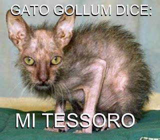 Mundo Gatuno Rau Rau Gatetes Y Monetes El Gato De Golum Puede Ser