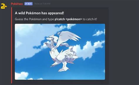 Poketwo Discord Commands 2024 Arceus X