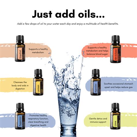 My Top 6 Essential Oils In Water To Drink LIVE WELL LOVE WELLNESS