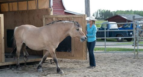 Heartland Horses Tv Series