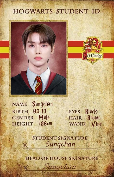 Harry Potter Parody Riize Behance