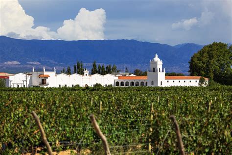 Cafayate Wine Region Argentina Winetourism Winetourism