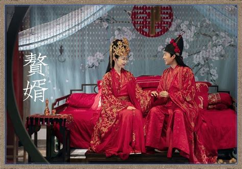 中国ドラマ「贅婿 ぜいせい ～ムコ殿は天才策士」面白い！ 破顔一笑懸命 ～はがん・いっしょうけんめい～