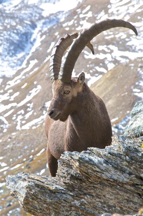 Gran Paradiso National Park A Weekend In Paradise By Mauro Moroni