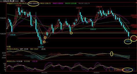8月20日現貨黃金、白銀、原油、外匯短線交易策略 每日頭條