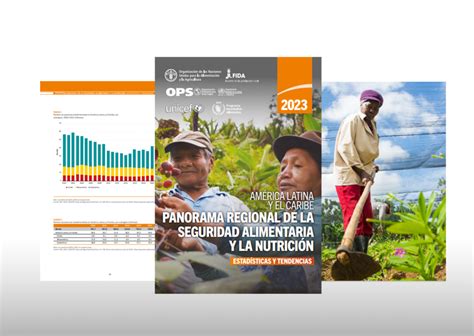 Novo relatório da ONU milhões de pessoas passam fome na América Latina e no Caribe WFP