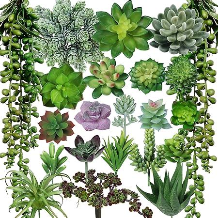 Anoak Artificial Succulent Plants 16 Pcs Set Faux Succulents Unpotted