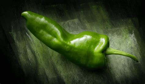 Poblano Pepper Vs Anaheim Heat Flavor Size Nutrition And Subs