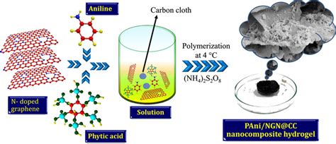 Schematic Diagram Of The Synthesis Of PAni NGN Nanocomposite Hydrogel