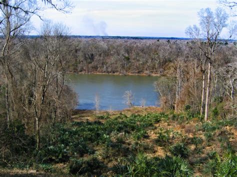 Apalachicola River | ClipPix ETC: Educational Photos for Students and ...