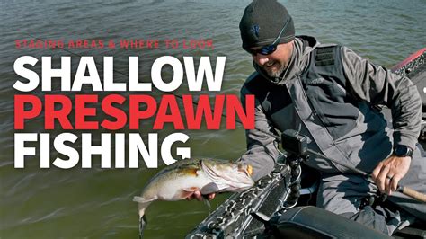 SHALLOW Pre Spawn Bass Fishing What To LOOK For YouTube