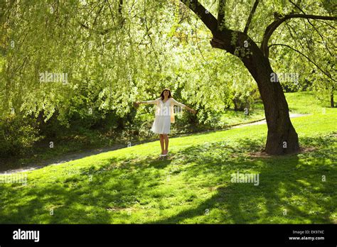 Young Bride Stood Under The Greenwood Tree Stock Photo Alamy