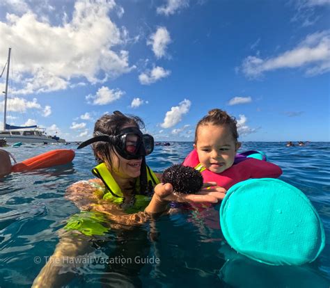 Book One of The 7 Best Snorkeling Tours on Oahu - The Hawaii Vacation Guide