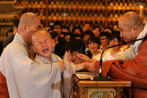 Korean Little Monks ~ Buddhist Celebrities