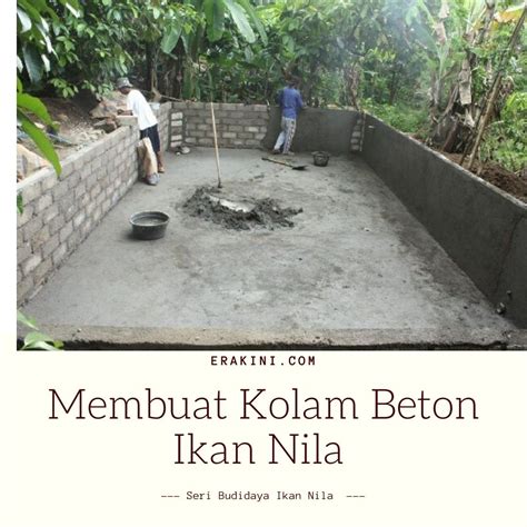 Detail Desain Kolam Lele Beton Koleksi Nomer